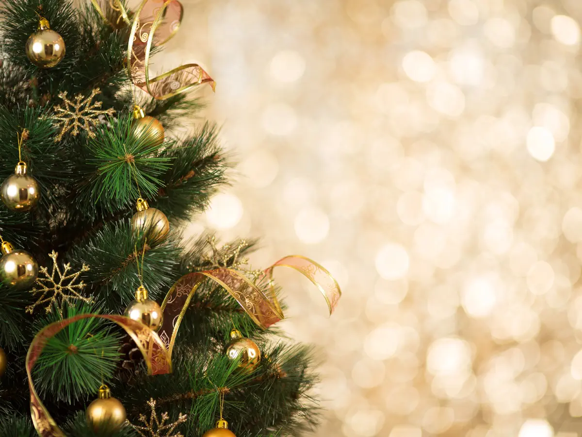 Holiday Market6.webp