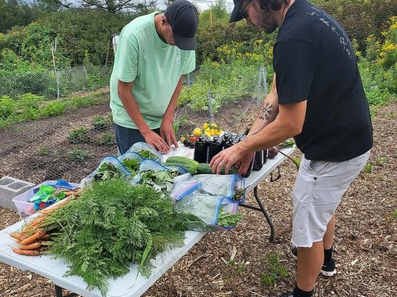 Andrew and Nick prepare a table of vegetables for the community.