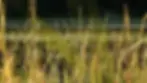 374113_4384436321580_844442745_n.webp