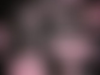 War, Wampum, and Peace