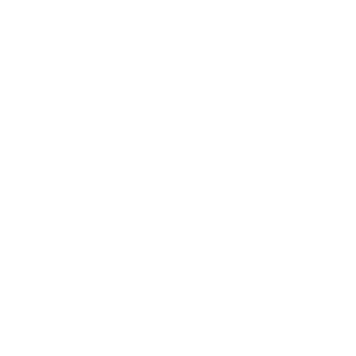 Guild of Ships