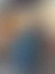 Sailing Emission Free Nil  Desperandum