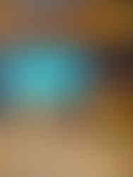 Traditional Shipping Fair Den Helder