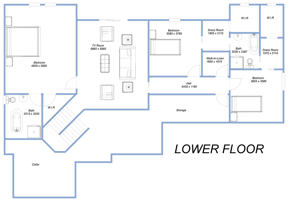 Lower Floor Plan