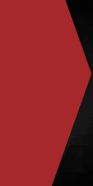Tindol Tire-300x600-px