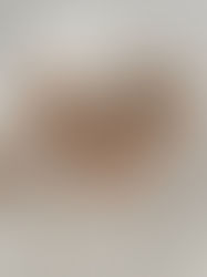 DIY : 3 emballages cadeaux pour Noël