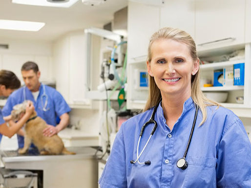 Part 3 of 5 - LEADERSHIP: The REAL reasons we can’t keep veterinary professionals in the veterinary profession