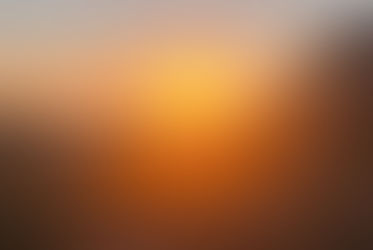 An Endless Summer to Remember