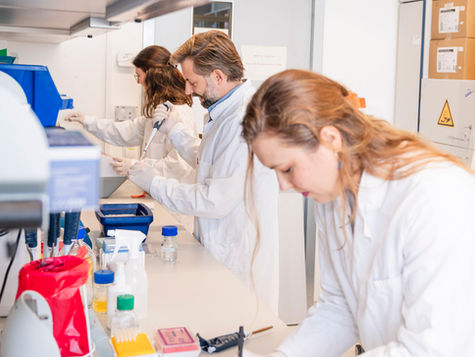 From gene to GMP in one partnership: NorthX Biologics and enGenes Biotech close the E. coli development gap 