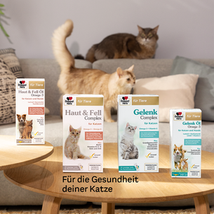 Doppelherz für Hunde und Katzen