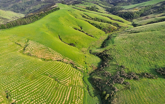 3709cde3-027b-40ac-9fac-3fb6d0e293a0.jfif