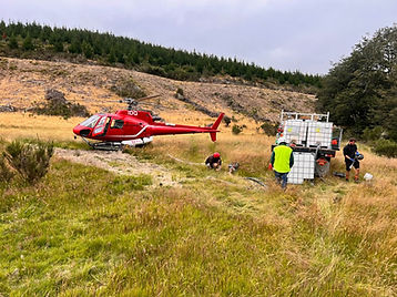 2989f3ef-8a62-4fa1-b3cb-debcfe1b5ec6.jfif