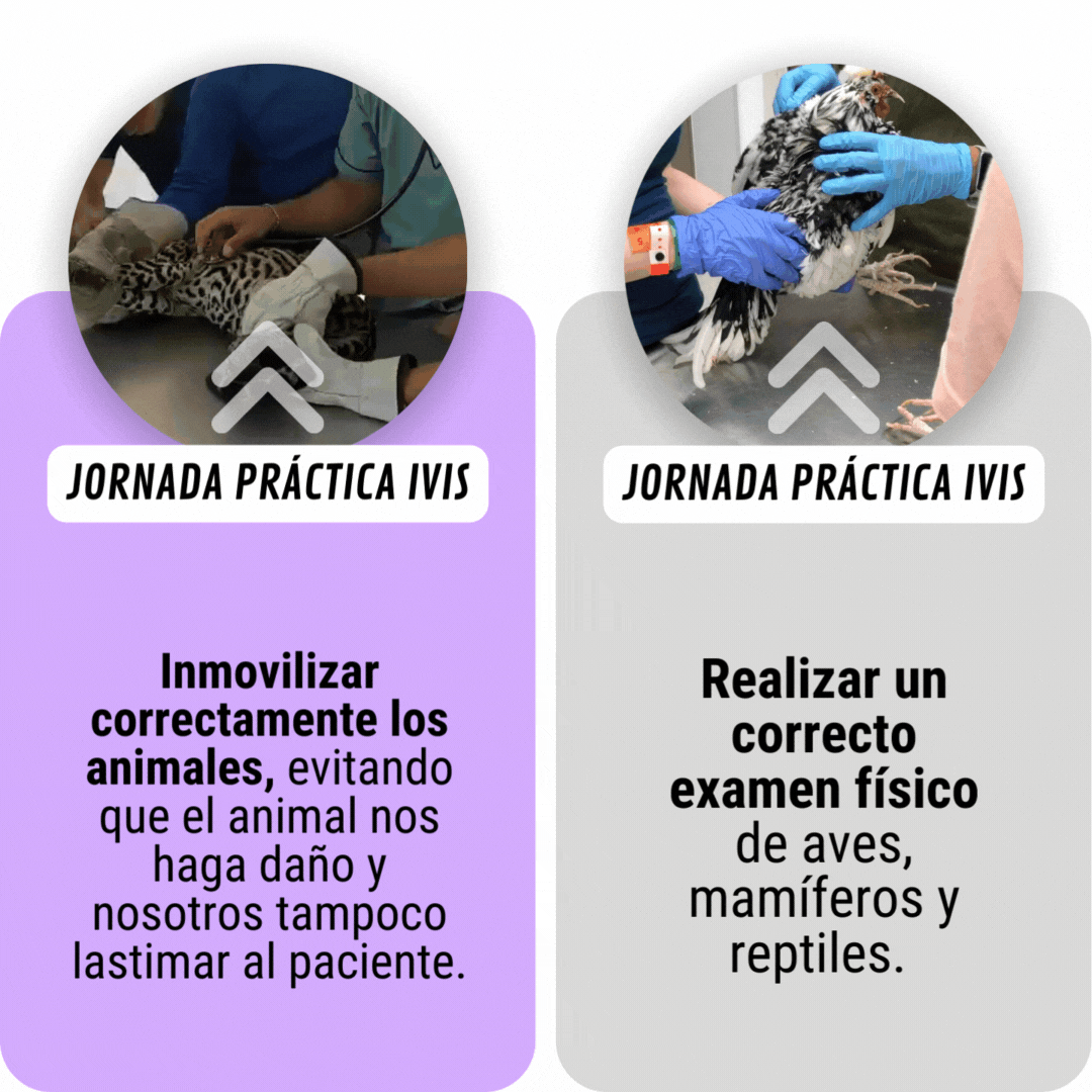 Los asistentes aprendieron a 1.gif