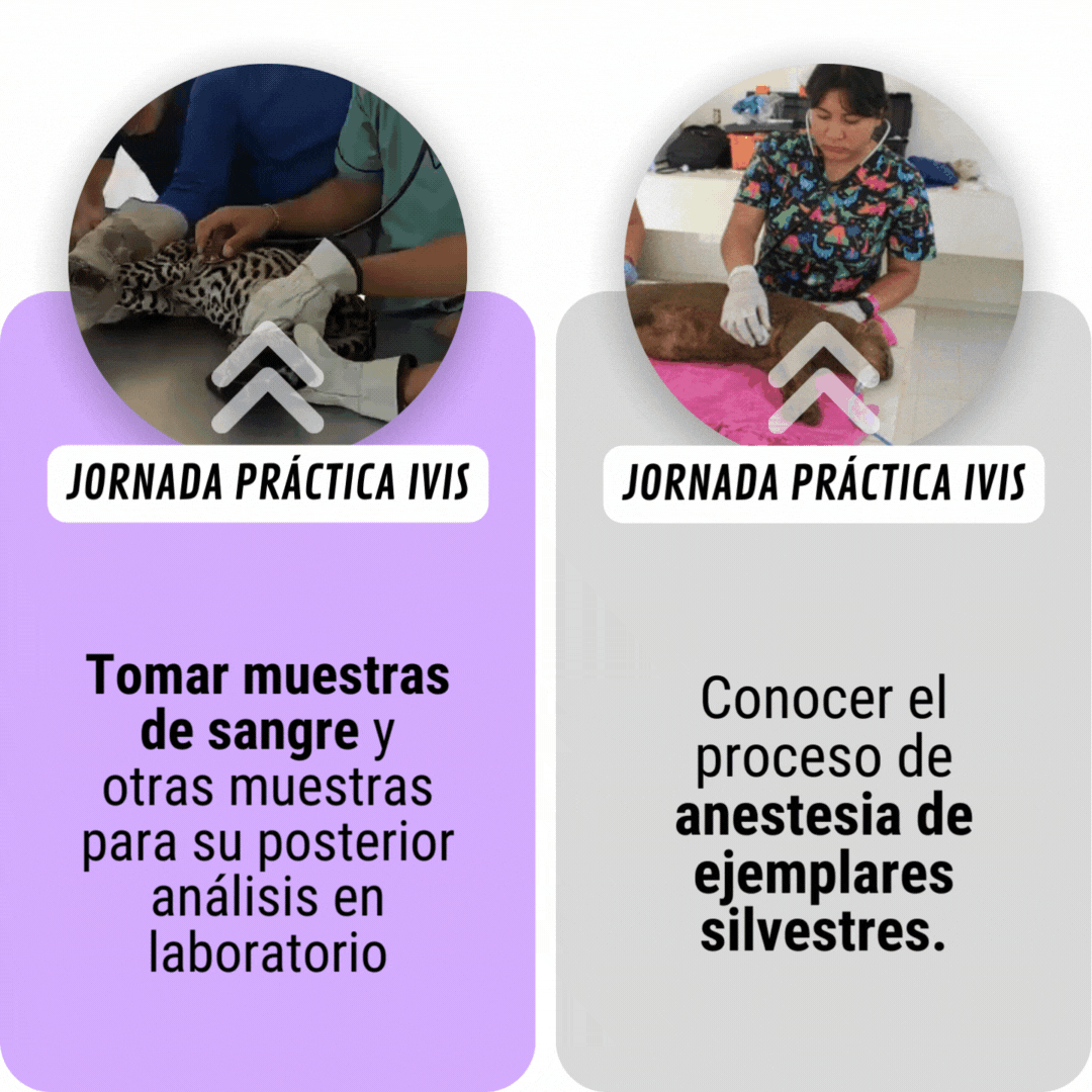 Los asistentes aprendieron a 3.gif