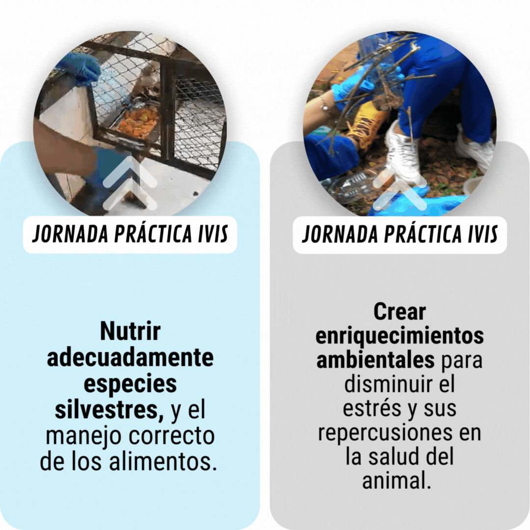 Los asistentes aprendieron a 2.gif