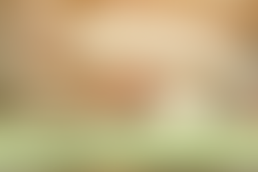 Why is a blog important for my business?