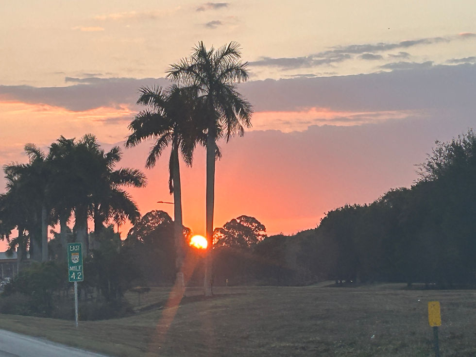 Sunset 2