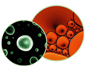 cellular Mopnitoriung_edited_edited.png