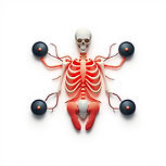 icon for intergumentarysystem realistic white background.jpg