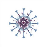 icon for inmunesystem realistic white background.jpg
