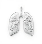 icon forrespiratorysystem realistic white background.jpg
