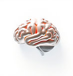 icon for cognitive system realistic white background.jpg