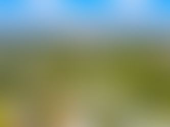 Ashgrove, Queensland: Old Brisbane Soul, New-Life Convenience