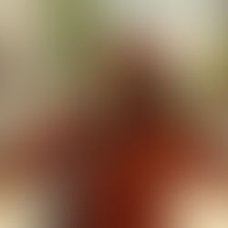 Ontdek de heerlijke teaser van de nieuwe feelgood reeks 'BOHO'