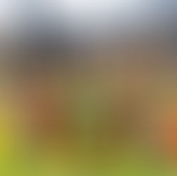 Maya de Bij keert terug naar Floralia Brussels met een betoverende familiebeleving