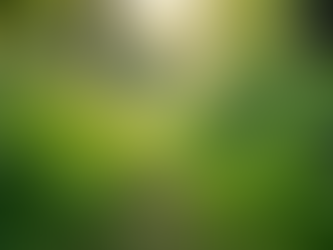 The Importance of Sustainable Living in Today's World