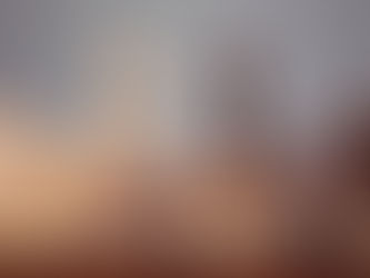 After Beecher deal, Brown & Brown still in M&A market