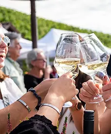 Fellbach_Remstal_Kelterfest__c__Fellbacher_Weing_rtner_Nicklas_Santelli.webp