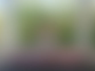 Kolmannen yrittäjävuoden toinen puolivuotinen