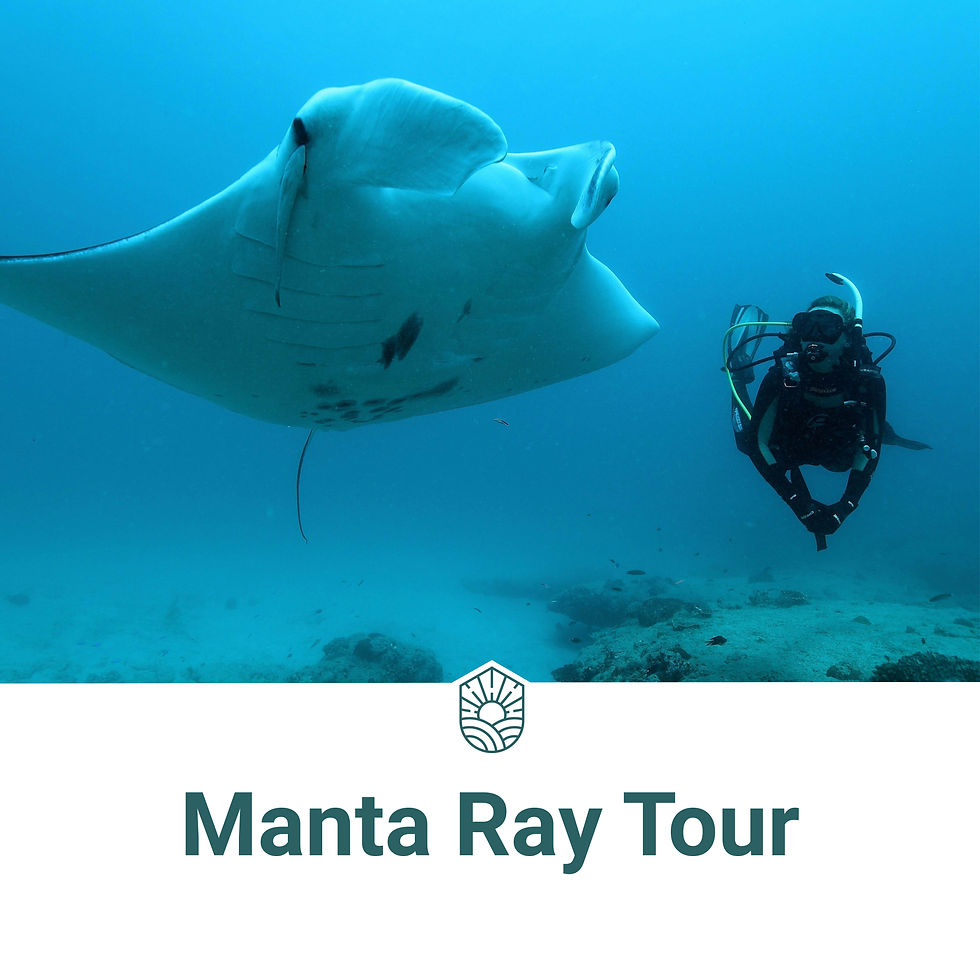 must sees coral bay4