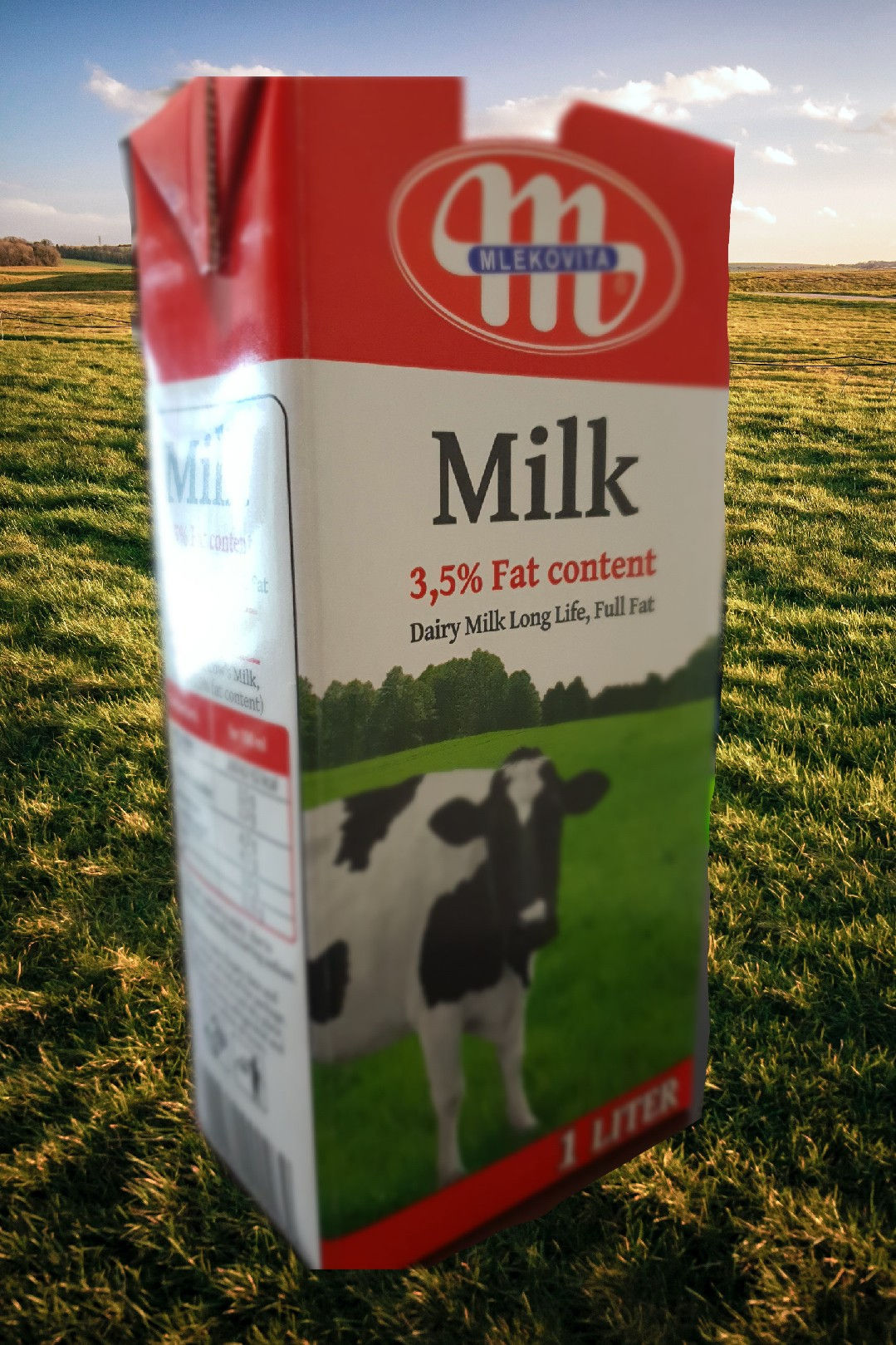 Dairy Milk
