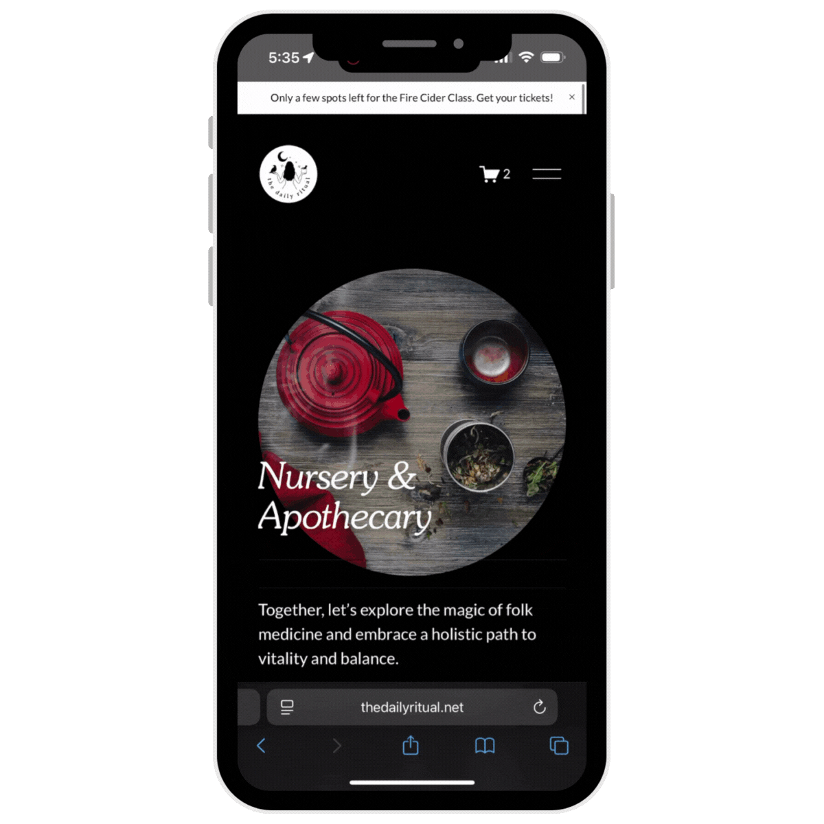 Website Portfolio Covers (25).gif