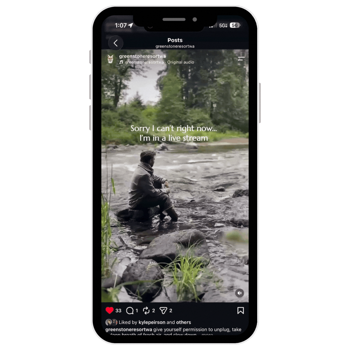 Greenstone Live Stream Sample.gif