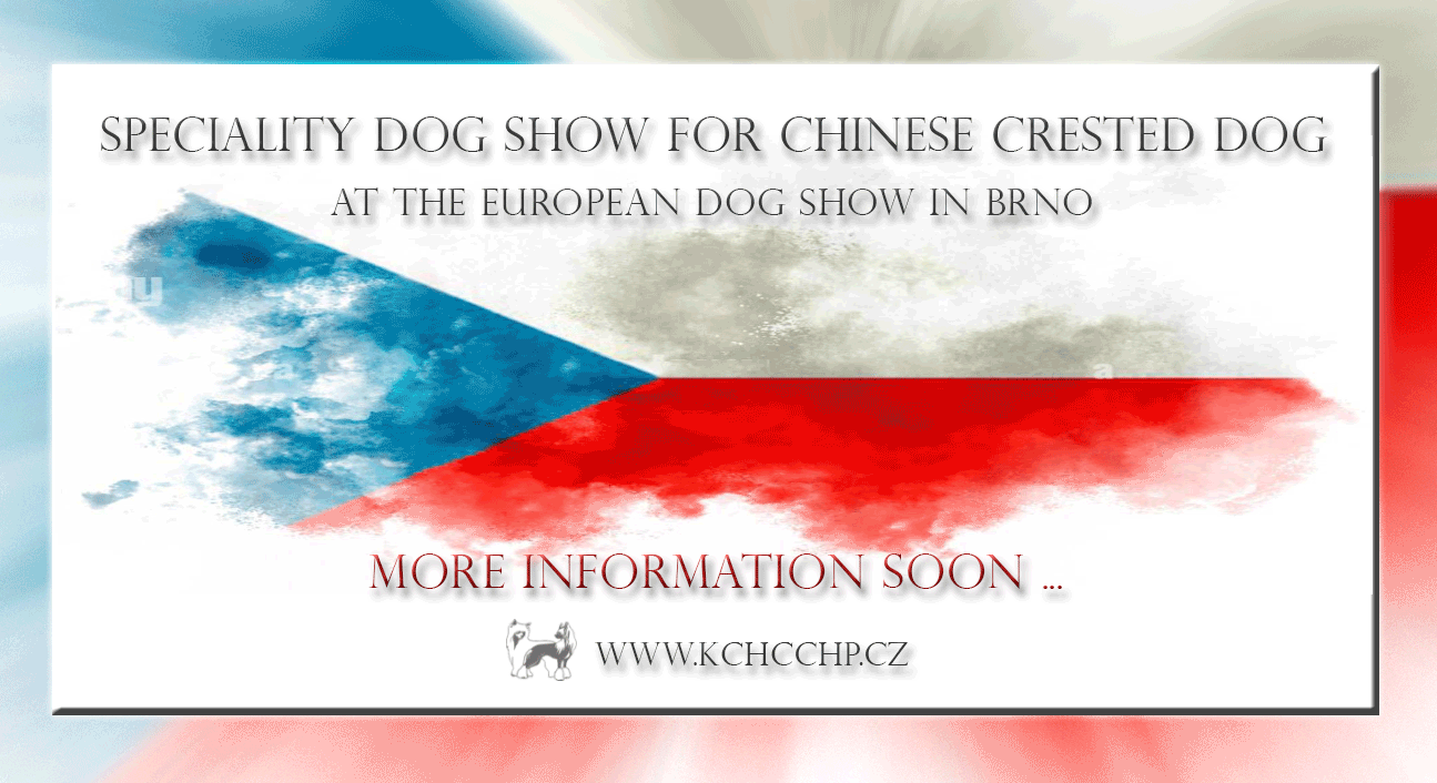 special_dog_show.gif