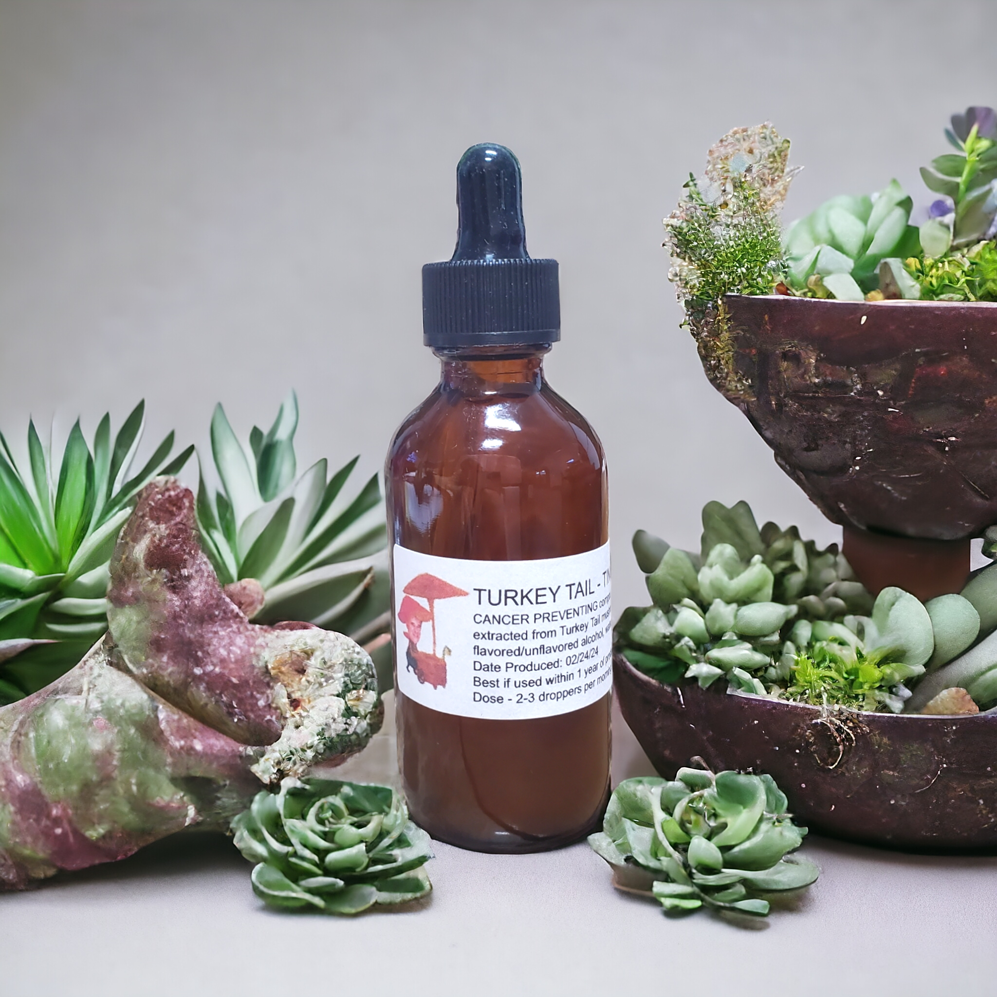 Turkey Tail Mushroom Tincture