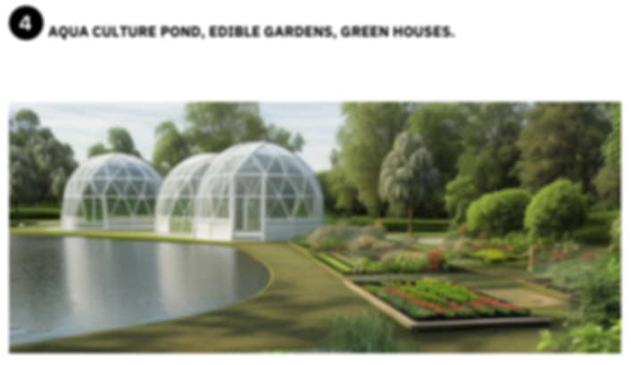 site plan 5.png