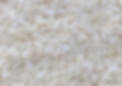 rice grain.png