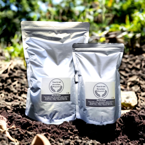 Ancient Grain Buckwheat Quantumcollective Co