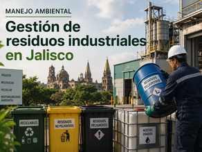 Un Ingeniero separando los residuos correctamente para regularización ambiental en Jalisco