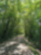 promenade.jpg