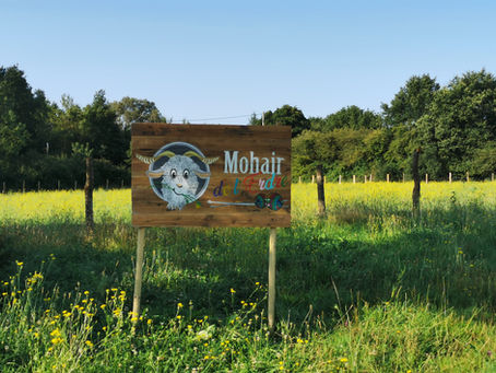 Ouverture officielle