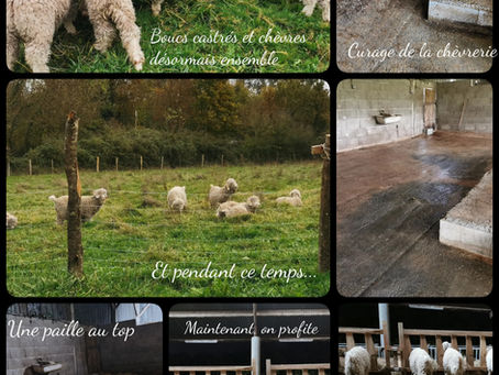 Un dimanche bien rempli