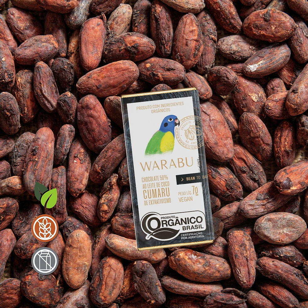 Thumbnail: Chocolate Orgânico 50% Ao Leite De Coco Cumaru De Extrativismo