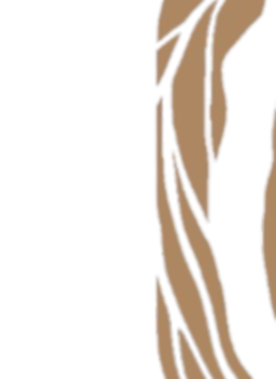 Design sem nome (1).png