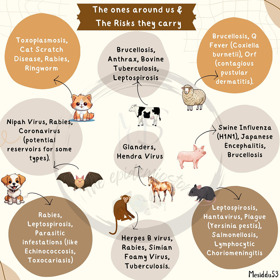 Important animal species & the zoonotic diseases they spread...