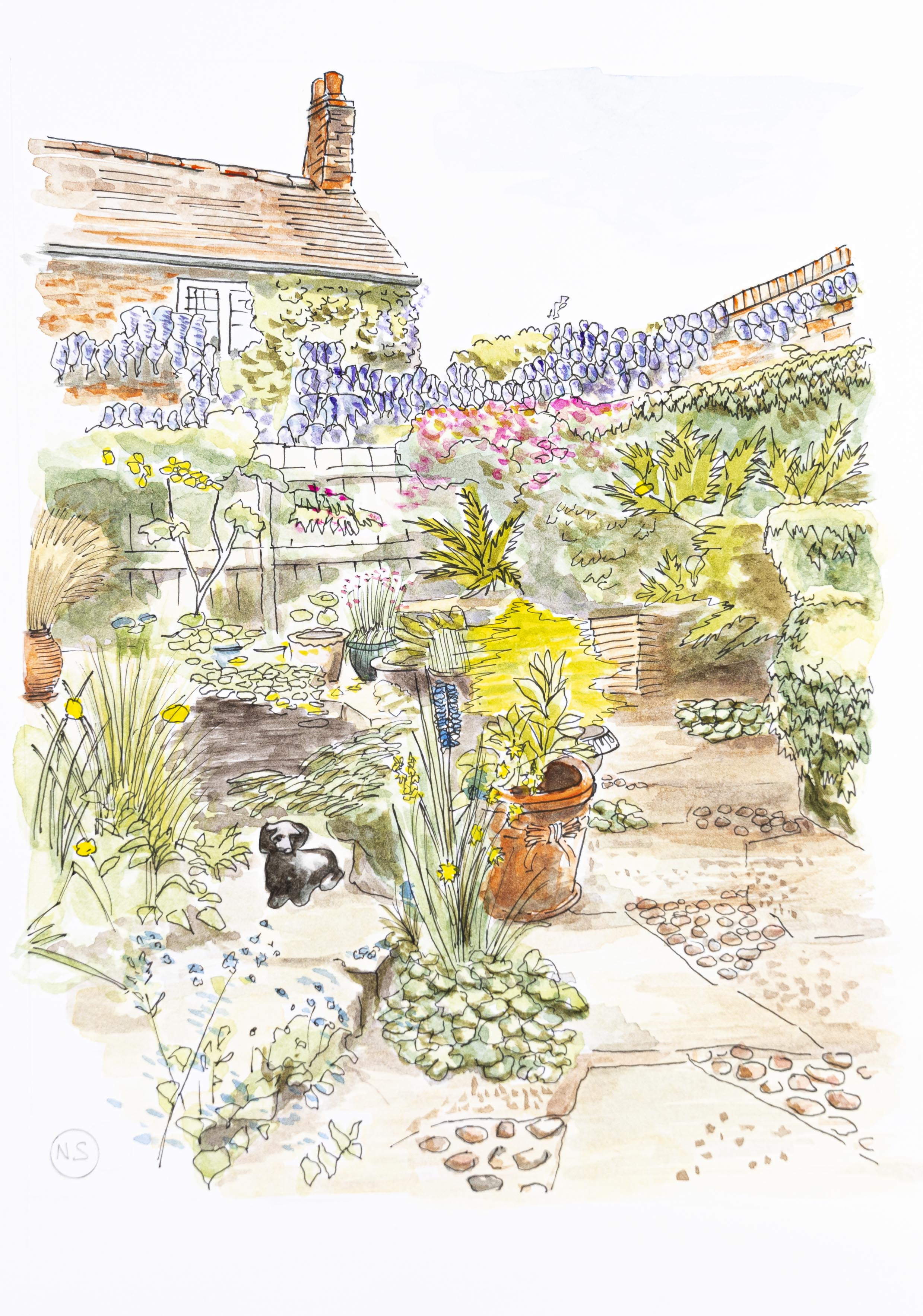 Ann Philp's Garden